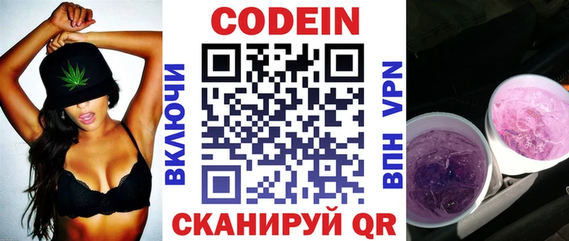Купить закладки  Александровск  Кодеиновый сироп Lean напиток Lean (лин) 