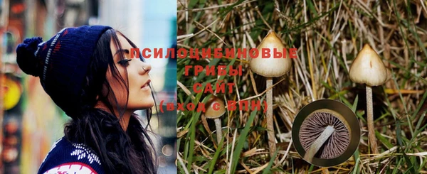 бошки Козельск