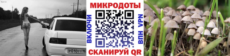 Купить  Александровск  Псилоцибиновые грибы мицелий 